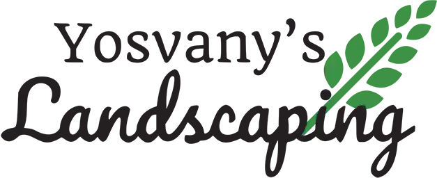 Yosvany